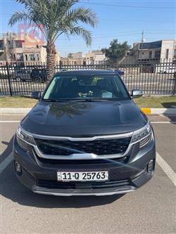 کیا سێلتۆس